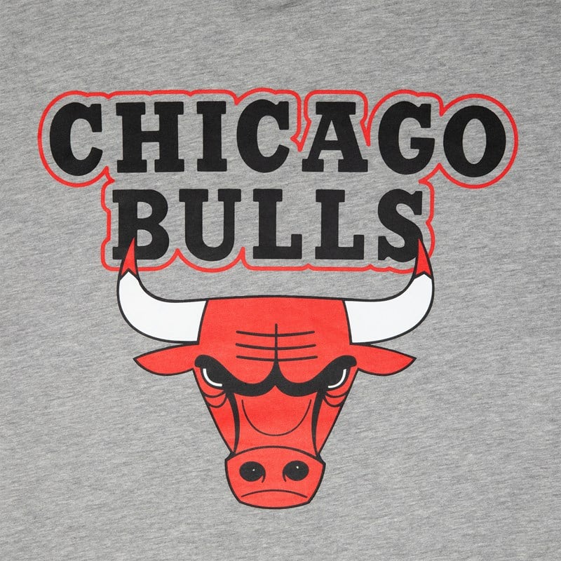 Camiseta New Era Chicago Bulls NBA Paris Games Grises | ZG3185026